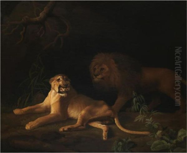 A Lion And A Lioness Oil Painting by George Stubbs