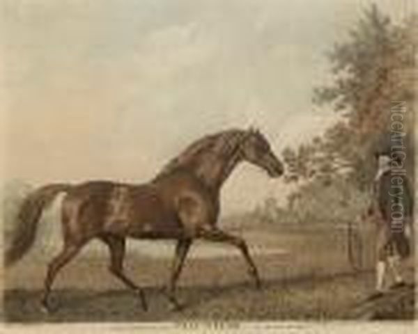 Volunteer, (lennox Boyd 117) Oil Painting by George Stubbs