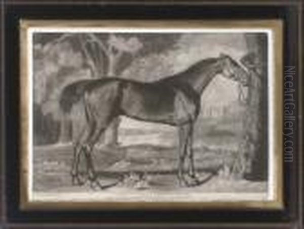 Pangloss Belonging To Lord Grosvenor Oil Painting by George Stubbs