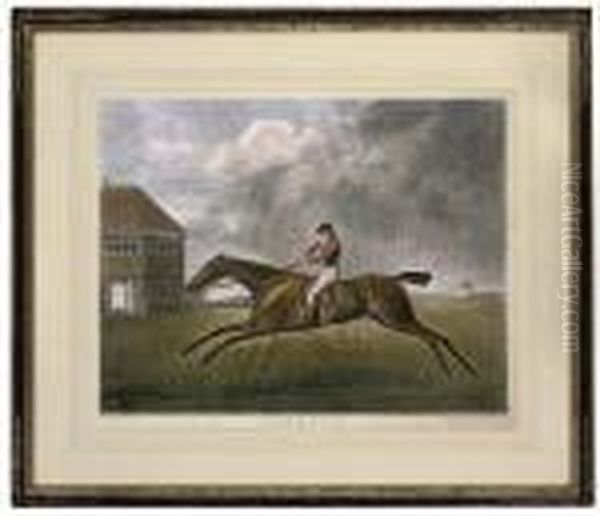 Baronet, By George Townly Stubbs Oil Painting by George Stubbs