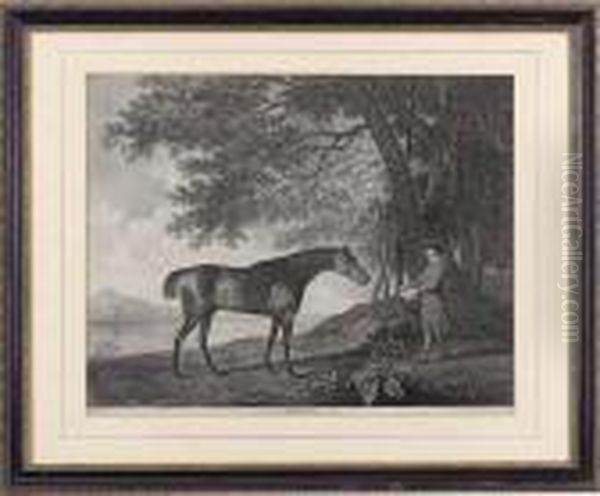 Sharke Oil Painting by George Stubbs