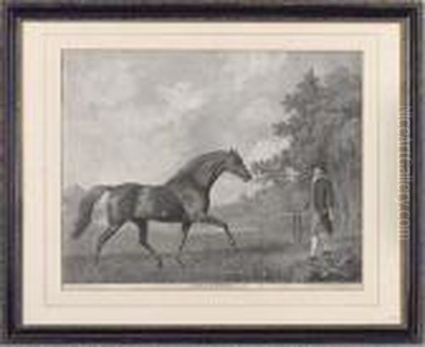 Volunteer Oil Painting by George Stubbs