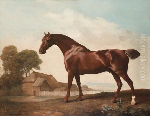 A Chestnut Thoroughbred Before A Barn In An Open Landscape Oil Painting by George Stubbs