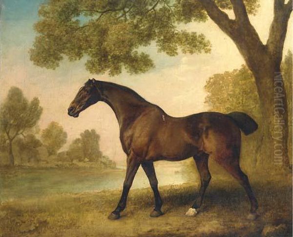 A Bay Hunter In A Wooded River Landscape Oil Painting by George Stubbs