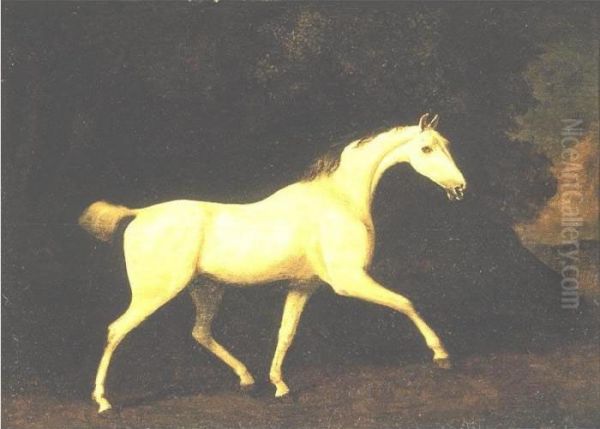 Lord Westmoreland's Grey Hunter In A Landscape Oil Painting by George Stubbs