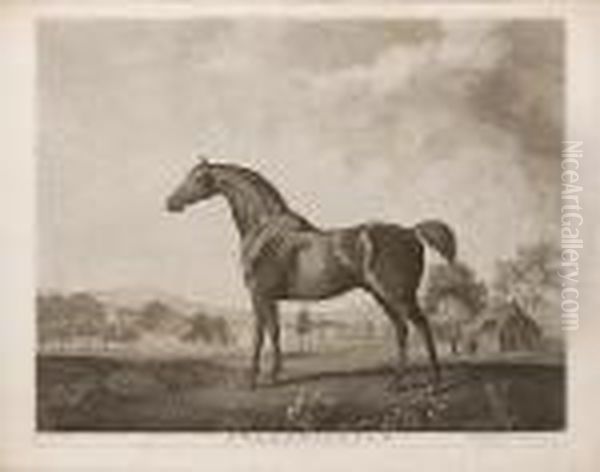 Sweetwilliam (lennox Boyd 118) Oil Painting by George Stubbs