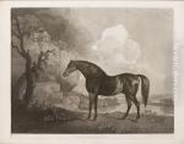 Marske (lennox Boyd 120) Oil Painting by George Stubbs