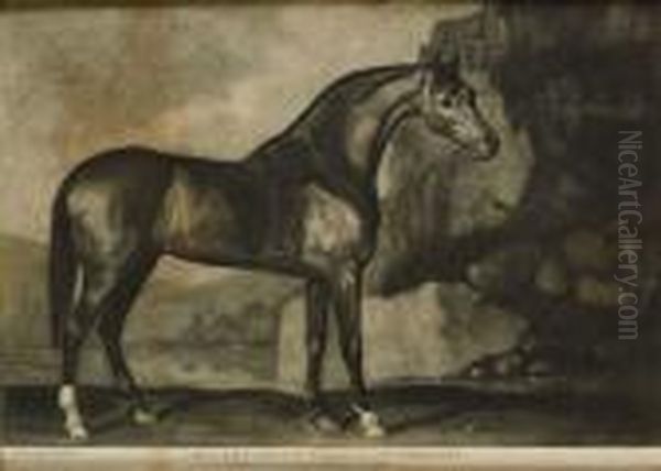 An Arabian Belonging To Mr Gregory (lennox-boyd 23) Oil Painting by George Stubbs