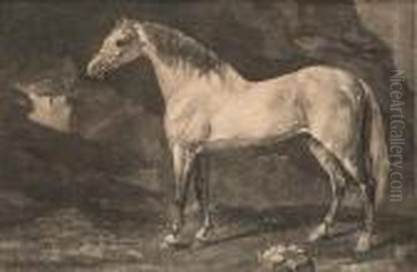 An Arabian Belonging To Mr Gregory (lennox-boyd 24) Oil Painting by George Stubbs