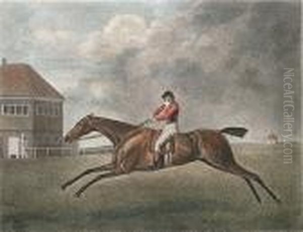 Baronet (lennox Boyd 100) Oil Painting by George Stubbs