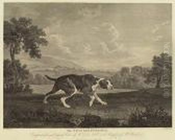 The Spanish Pointer Oil Painting by George Stubbs