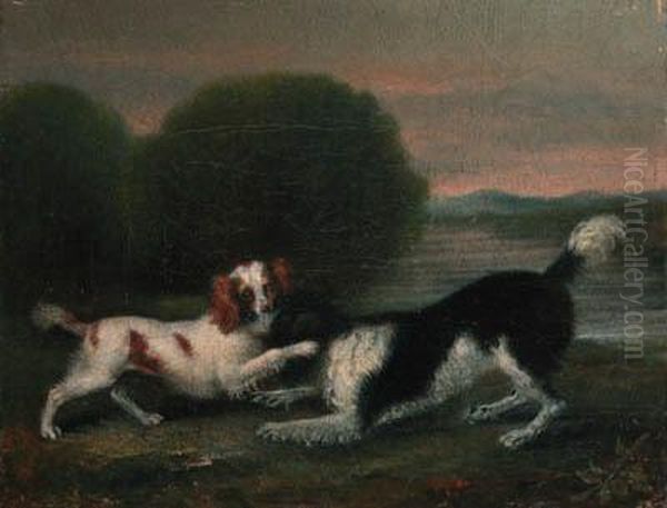 Spaniels Playing In A Wooded River Landscape Oil Painting by George Stubbs