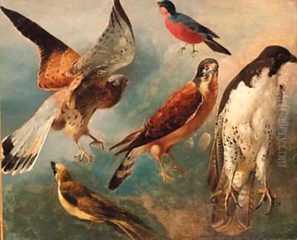 Studies of Birds Oil Painting by French School