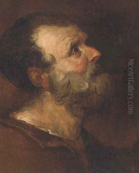 Head of an elderly man Oil Painting by French School