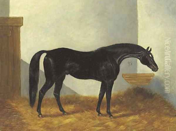 Virgil, a Black Stallion in a stable Oil Painting by Henry Stull