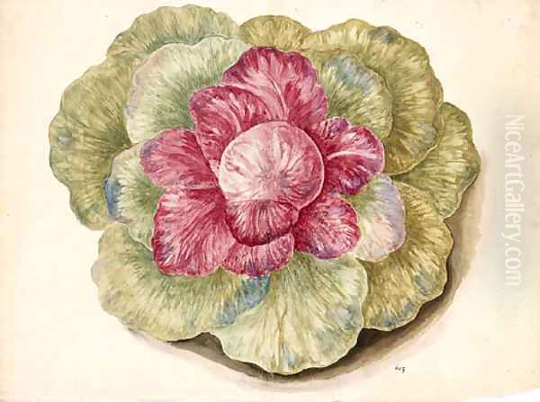 Brassica (Cabbage) Oil Painting by Italian School