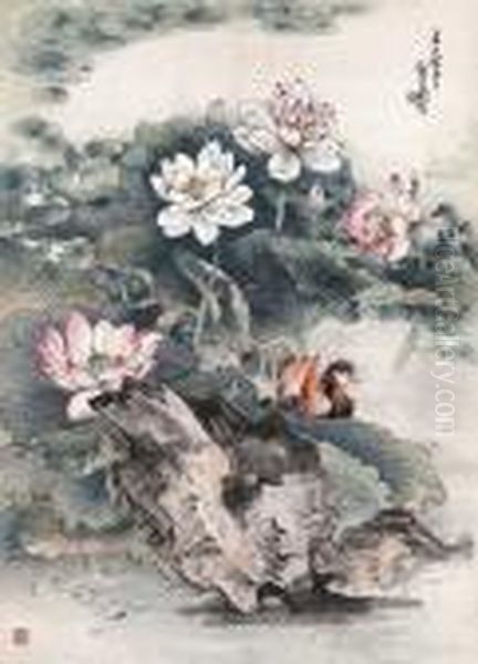 Lotus And Mandarin Ducks Oil Painting by Xiao Sun