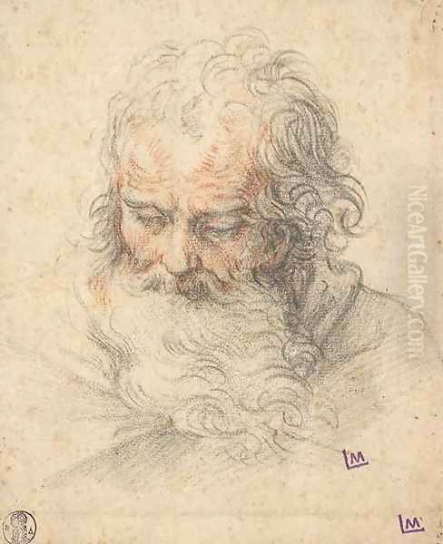 The head of a bearded man looking down Oil Painting by Italian School