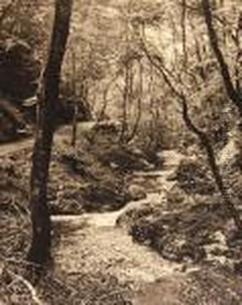 Forest Stream And Path Oil Painting by Frank Meadow Sutcliffe