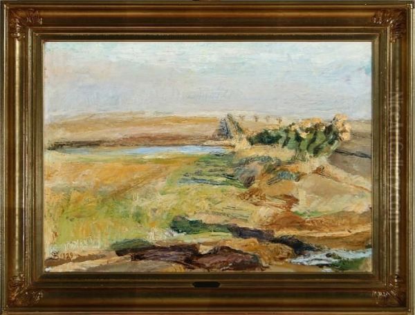 Field With A Small River, Near Kerteminde Oil Painting by Fritz Syberg