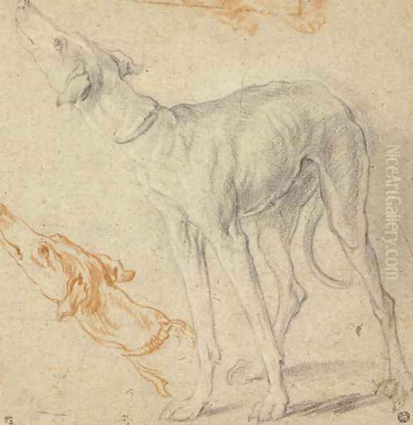 Two studies of a greyhound Oil Painting by Dutch School