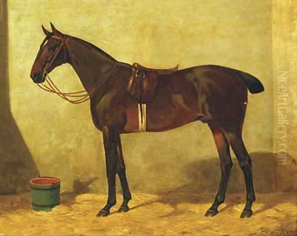 A stallion in the stable Oil Painting by Dutch School