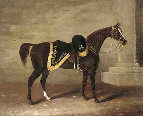 Copenhagen, the charger of the Duke of Wellington Oil Painting by Samuel Spode