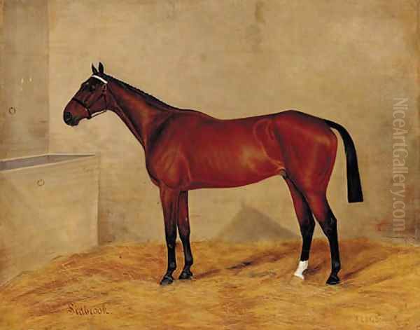 A bay horse in a stable Oil Painting by G. Stirling-Brown