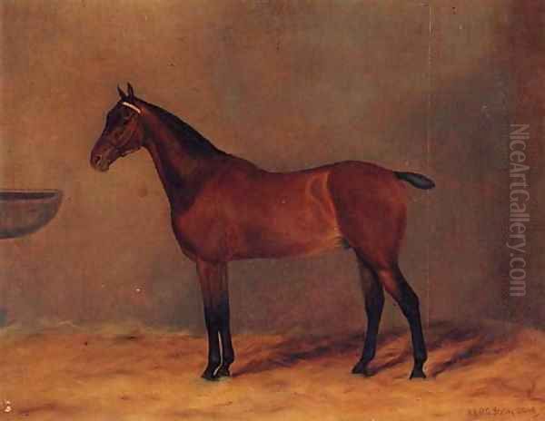 Bay Rum, a bay Hunter in a Stable Oil Painting by G. Stirling-Brown