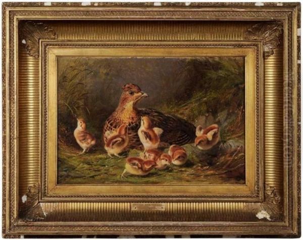 A Covey Of Grouse Oil Painting by Arthur Fitzwilliam Tait