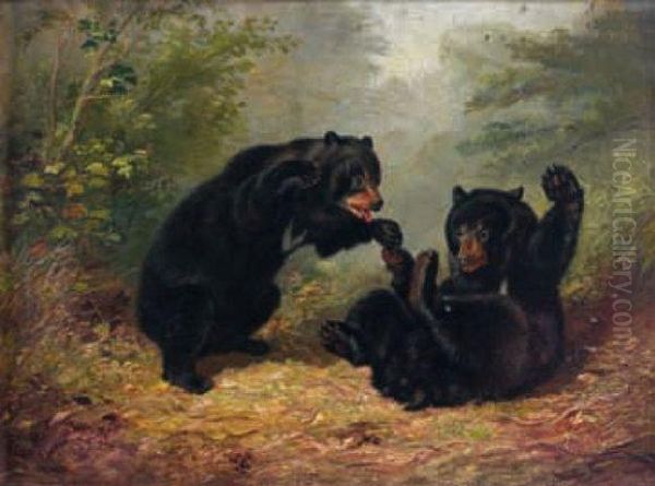 Les Ours Oil Painting by Arthur Fitzwilliam Tait