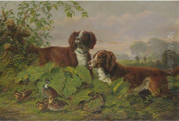 Two Setters And Quail Oil Painting by Arthur Fitzwilliam Tait