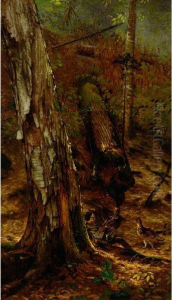 An Adirondackforest Oil Painting by Arthur Fitzwilliam Tait