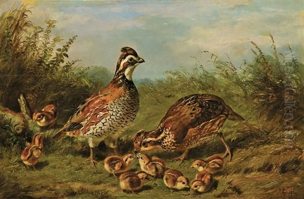 Grouse And Chicks Oil Painting by Arthur Fitzwilliam Tait