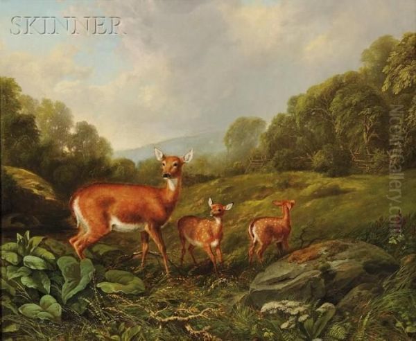 Doe And Fawns In A Landscape Oil Painting by Arthur Fitzwilliam Tait