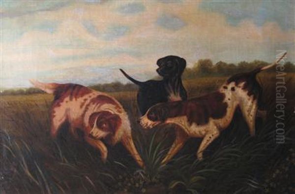 Three Hunting Dogs Oil Painting by Arthur Fitzwilliam Tait