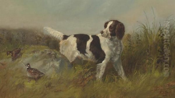 Marco Oil Painting by Arthur Fitzwilliam Tait