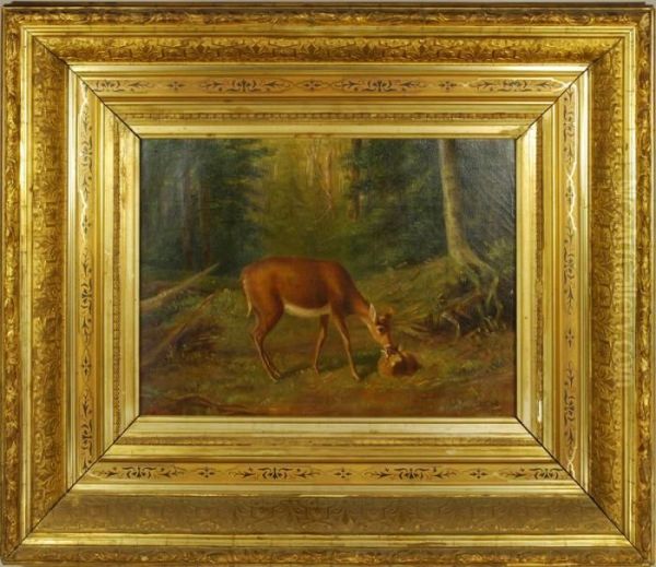 Deer In Landscape Oil Painting by Arthur Fitzwilliam Tait