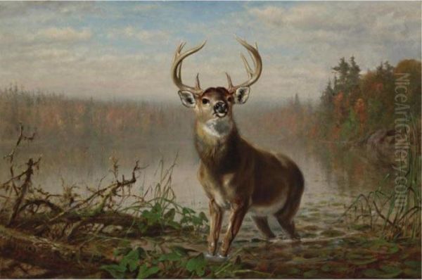 On The Alert Oil Painting by Arthur Fitzwilliam Tait