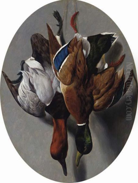 Canvasback And Mallard Oil Painting by Arthur Fitzwilliam Tait