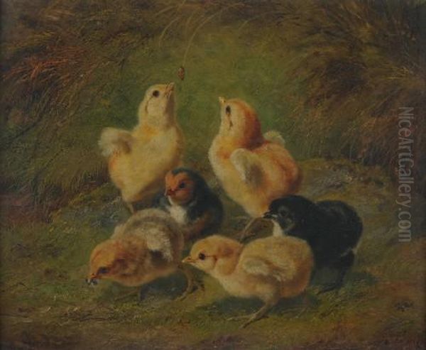 Baby Chicks Oil Painting by Arthur Fitzwilliam Tait