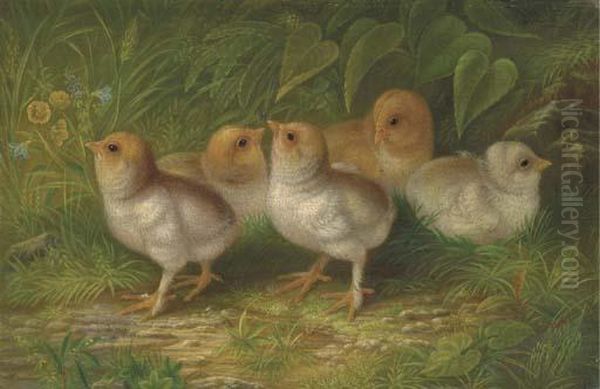 Expecting Chicks Oil Painting by Arthur Fitzwilliam Tait