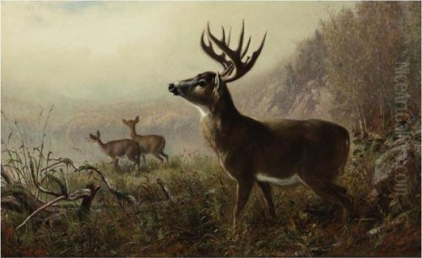 A Tempting Shot Oil Painting by Arthur Fitzwilliam Tait