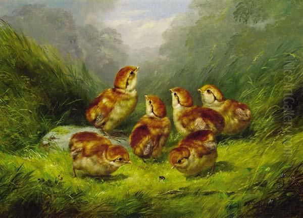 ''ruffed Grouse Chickens'' Oil Painting by Arthur Fitzwilliam Tait