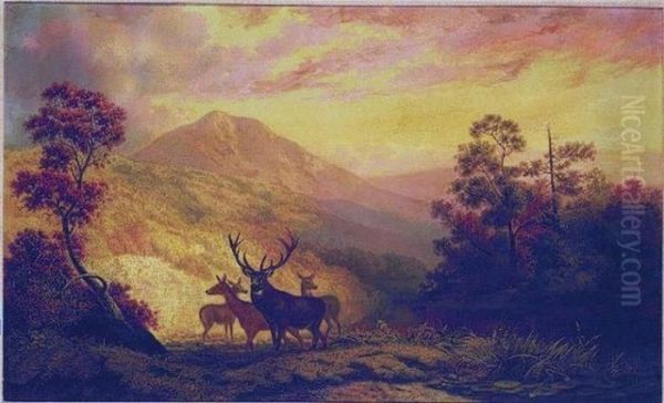 Elk In A Clearing With Mountains In The Distance Oil Painting by Arthur Fitzwilliam Tait