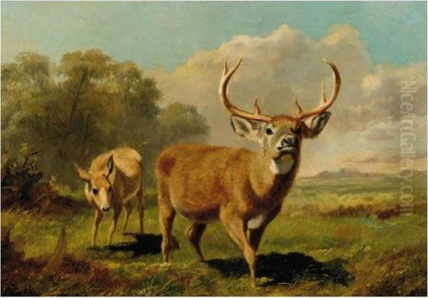 Buck And Doe Oil Painting by Arthur Fitzwilliam Tait