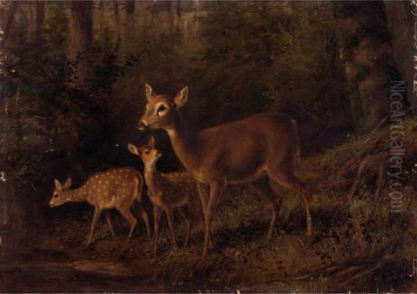 Doe And Two Fawns By A Stream Oil Painting by Arthur Fitzwilliam Tait