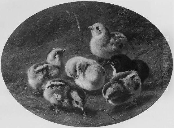 Chickens by Arthur Fitzwilliam Tait