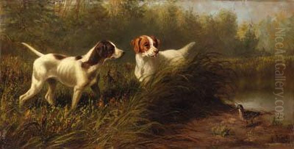 On Point, A Setter And Pointer Wih A Woodcock Oil Painting by Arthur Fitzwilliam Tait