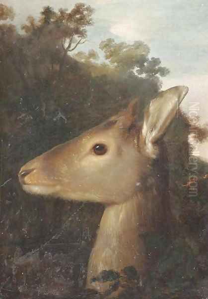 A deer's head Oil Painting by German School